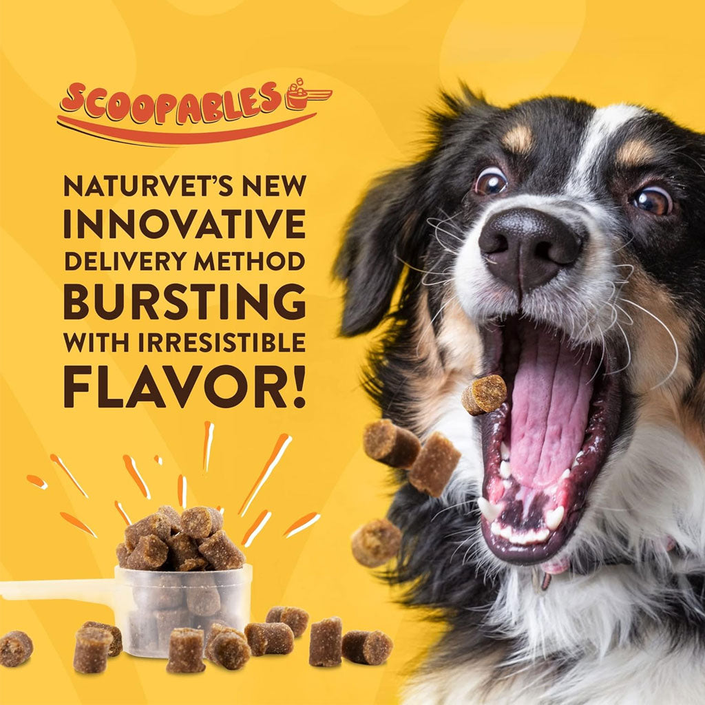 NaturVet Scoopables All-In-One Daily Essentials Plus 4-in-1 Support for Dogs, 11-oz