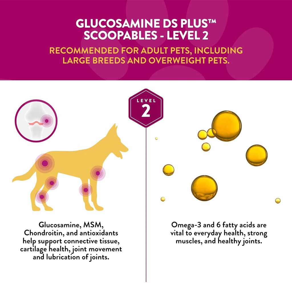 NaturVet Scoopables Glucosamine DS Plus Level 2 Plus Omega-3 & 6 Fatty Acids for Dogs, 11-oz