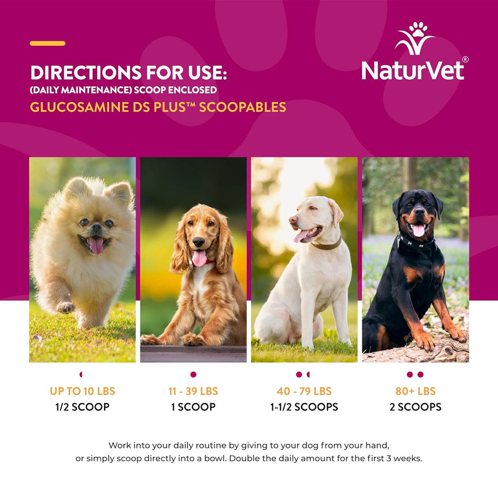 NaturVet Scoopables Glucosamine DS Plus Level 2 Plus Omega-3 & 6 Fatty Acids for Dogs, 11-oz
