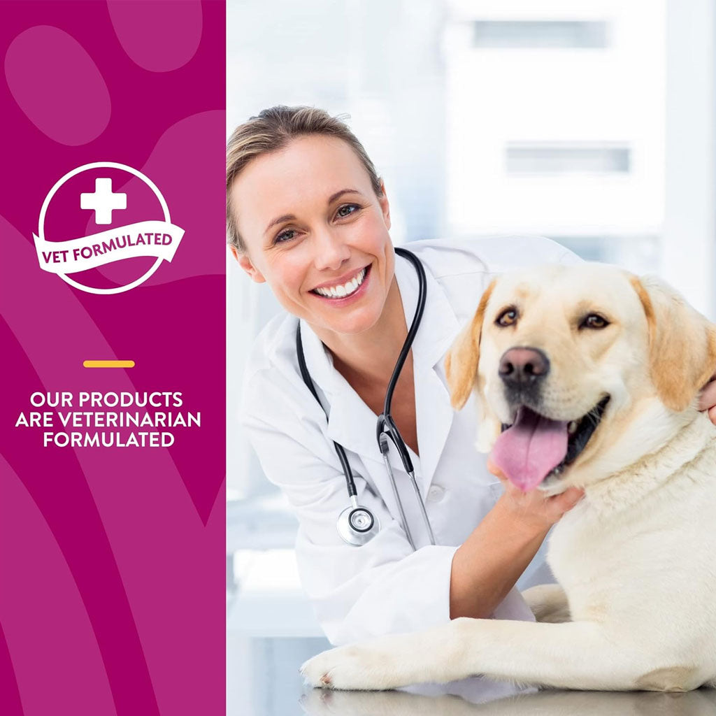 NaturVet Scoopables Glucosamine DS Plus Level 2 Plus Omega-3 & 6 Fatty Acids for Dogs, 11-oz