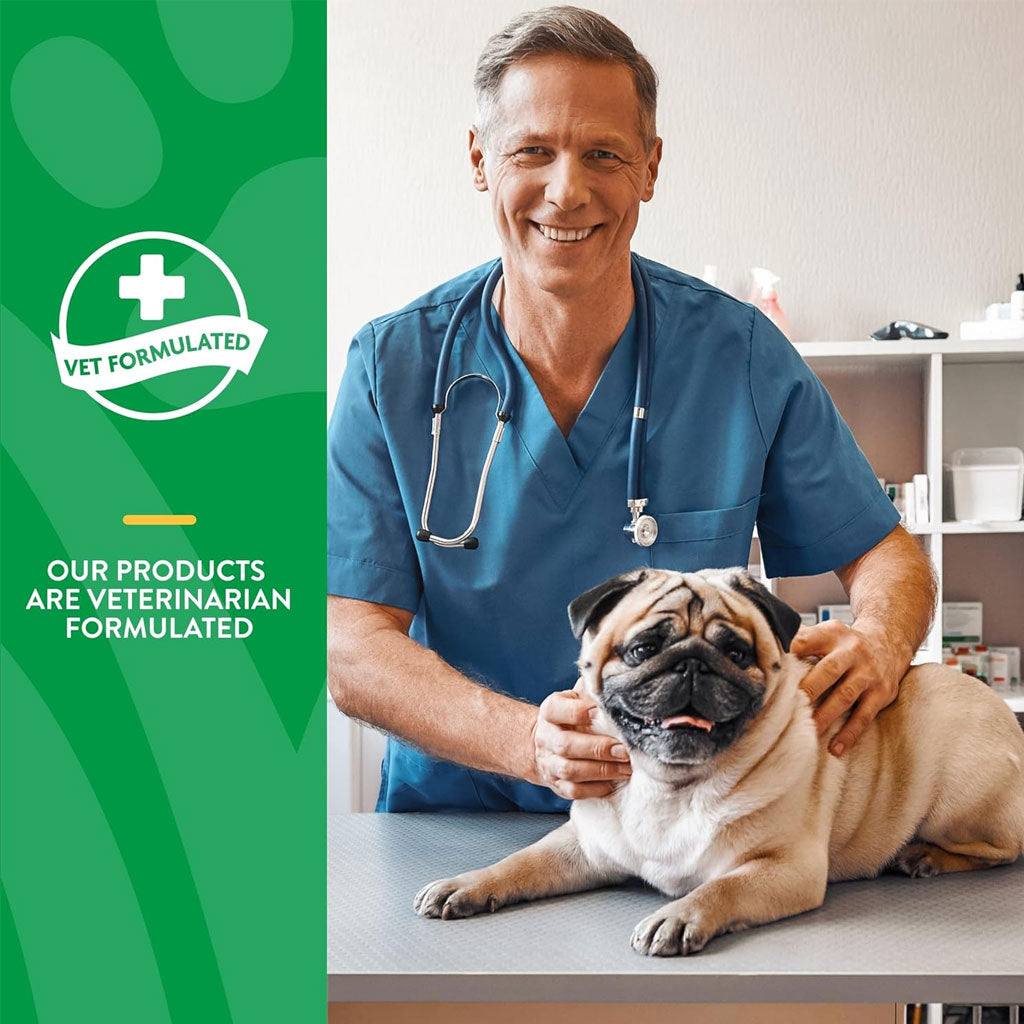 NaturVet Scoopables No Scoot Anal Gland Support Plus Pumpkins For Dogs, 11-oz