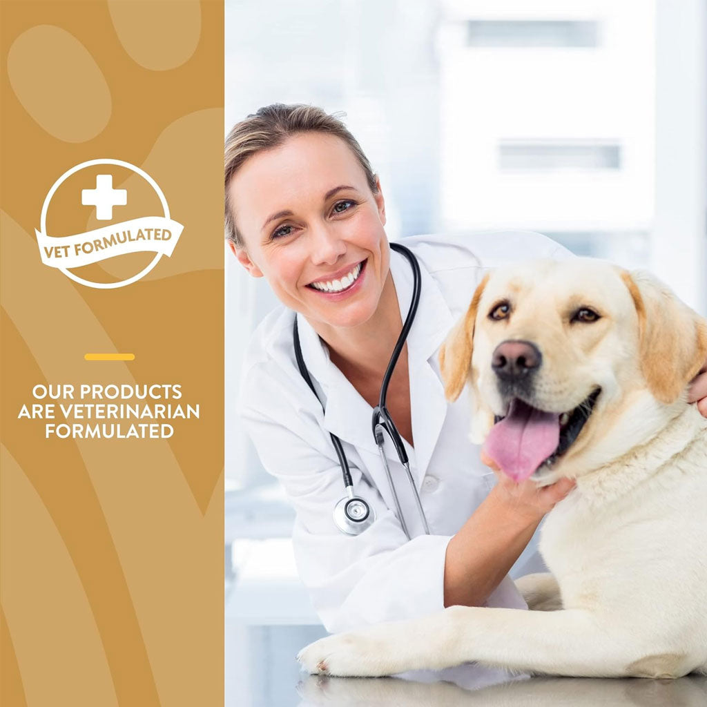 NaturVet Scoopables Omega-Gold Essential Fatty Acids Plus Anchovy Oil & Salmon Protein for Cats & Dogs, 11-oz