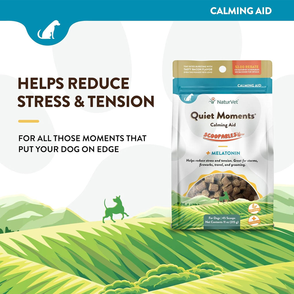 NaturVet Scoopables Quiet Moments Calming Aid Plus Melatonin For Dogs, 11-oz