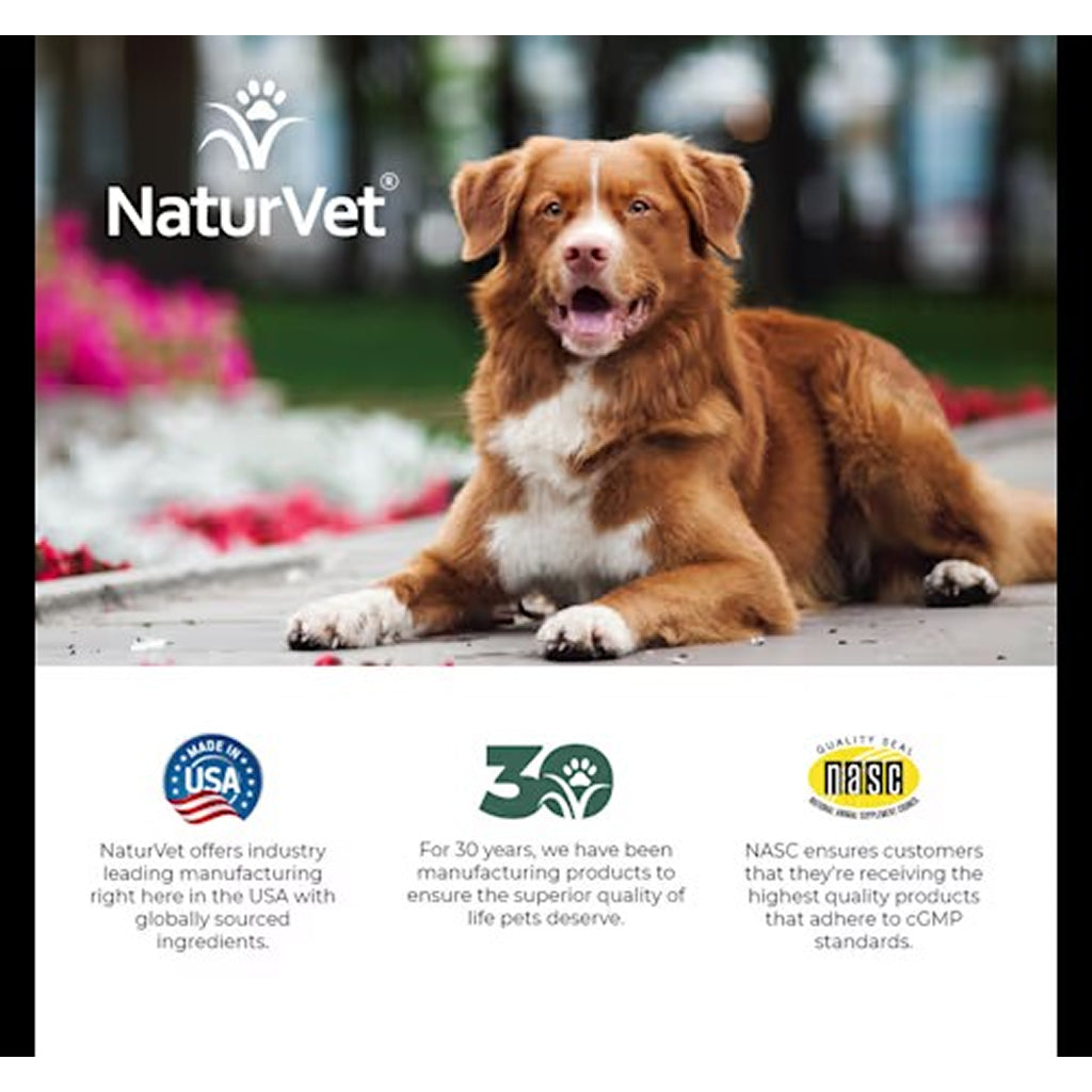 NaturVet Senior Daily Care Multi-Benefit 8-in-1 Support For Dogs (60 Soft Chews)