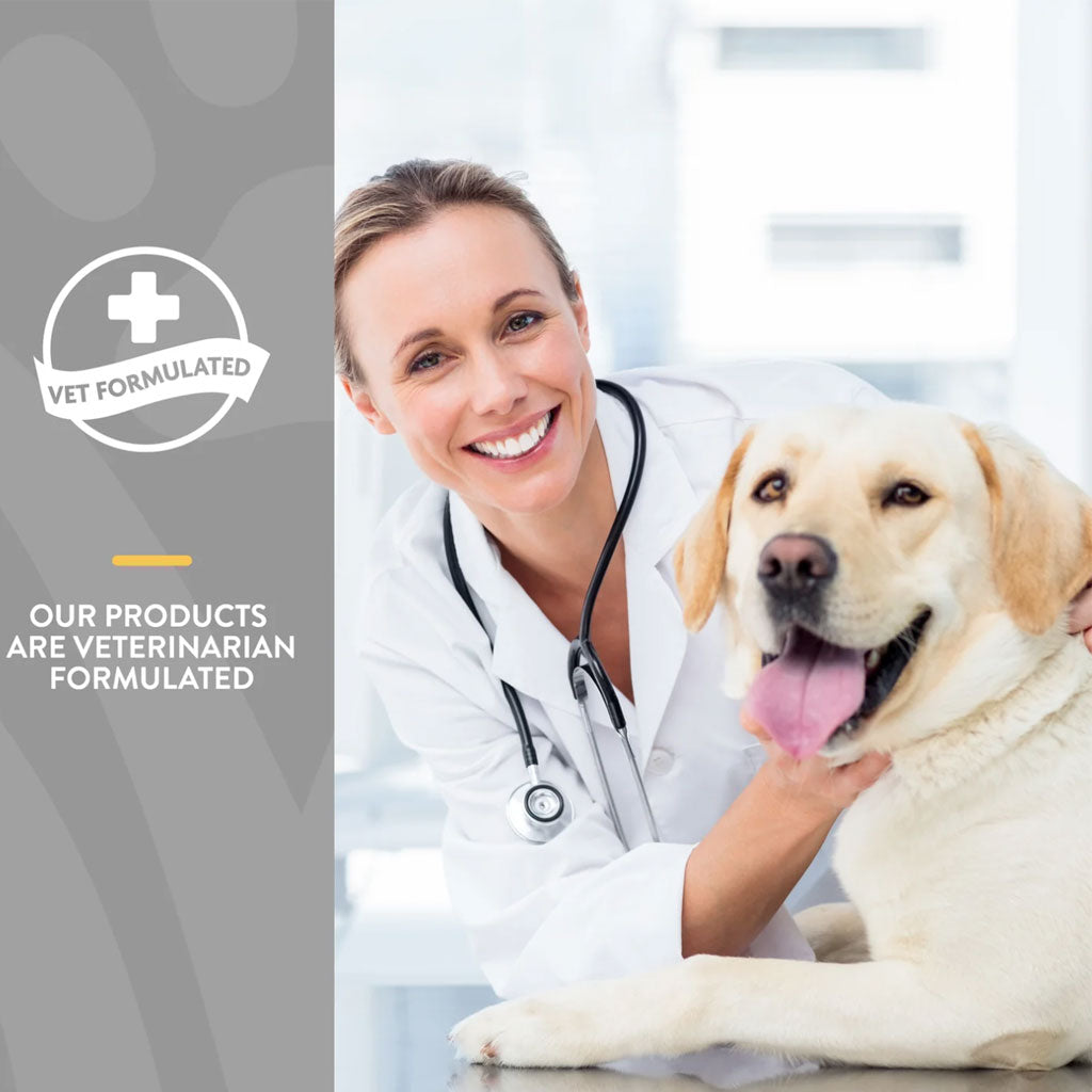 NaturVet Senior Wellness Hip & Joint Chewable Tablets Advanced Plus Omega-3 for Dogs, 40 count