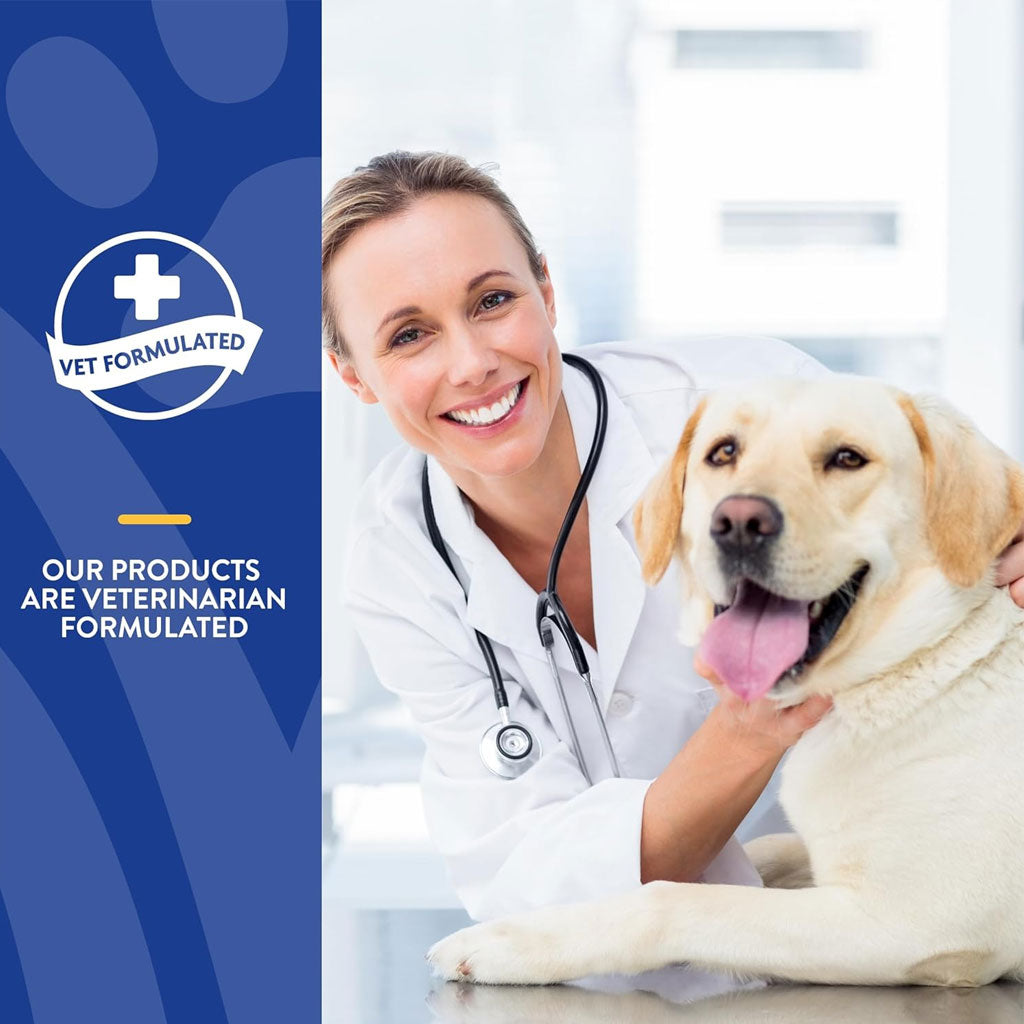 NaturVet Stool Ease Soft Chews Stool Softener with Pumpkin for Dogs, 40 count