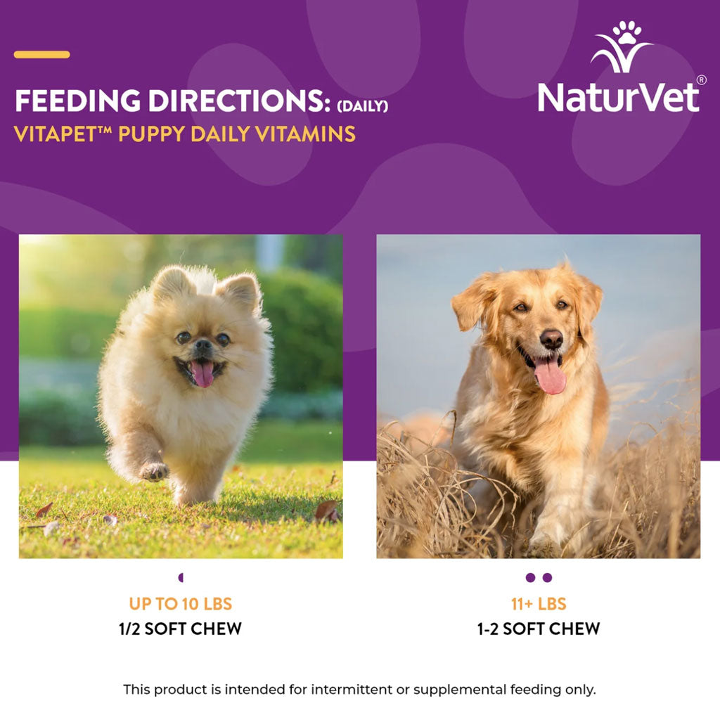 NaturVet VitaPet Puppy Daily Vitamins  Plus Breath Aid Soft Chews for Puppies, 70 count