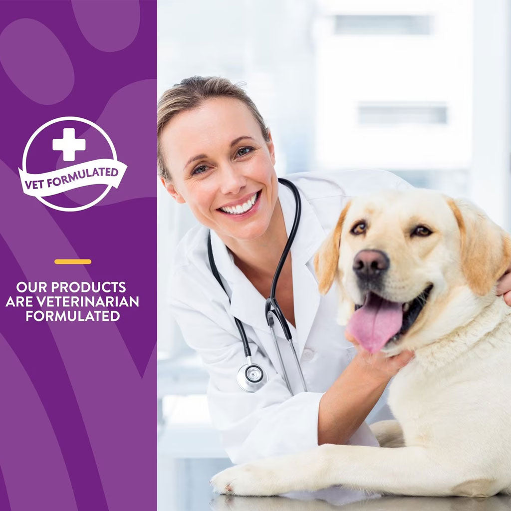 NaturVet VitaPet Puppy Plus Breath Aid Chewable Tablets Multivitamin for Dogs, 60 count