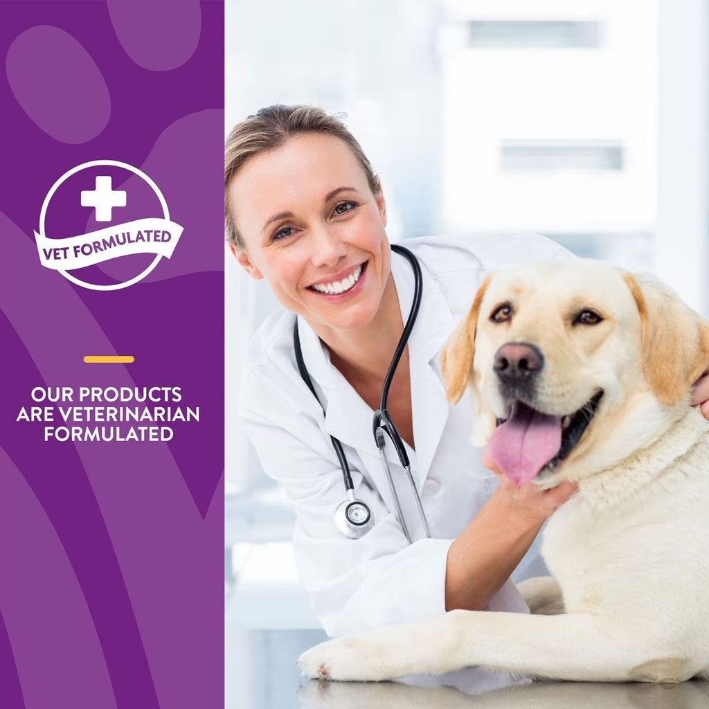 NaturVet VitaPet Senior Daily Vitamins Plus Glucosamine Dog Supplement, 60 count