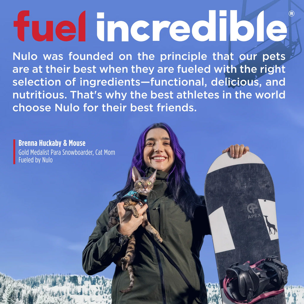 Nulo FreeStyle Grain Free Turkey & Duck Dry Cat & Kitten Food