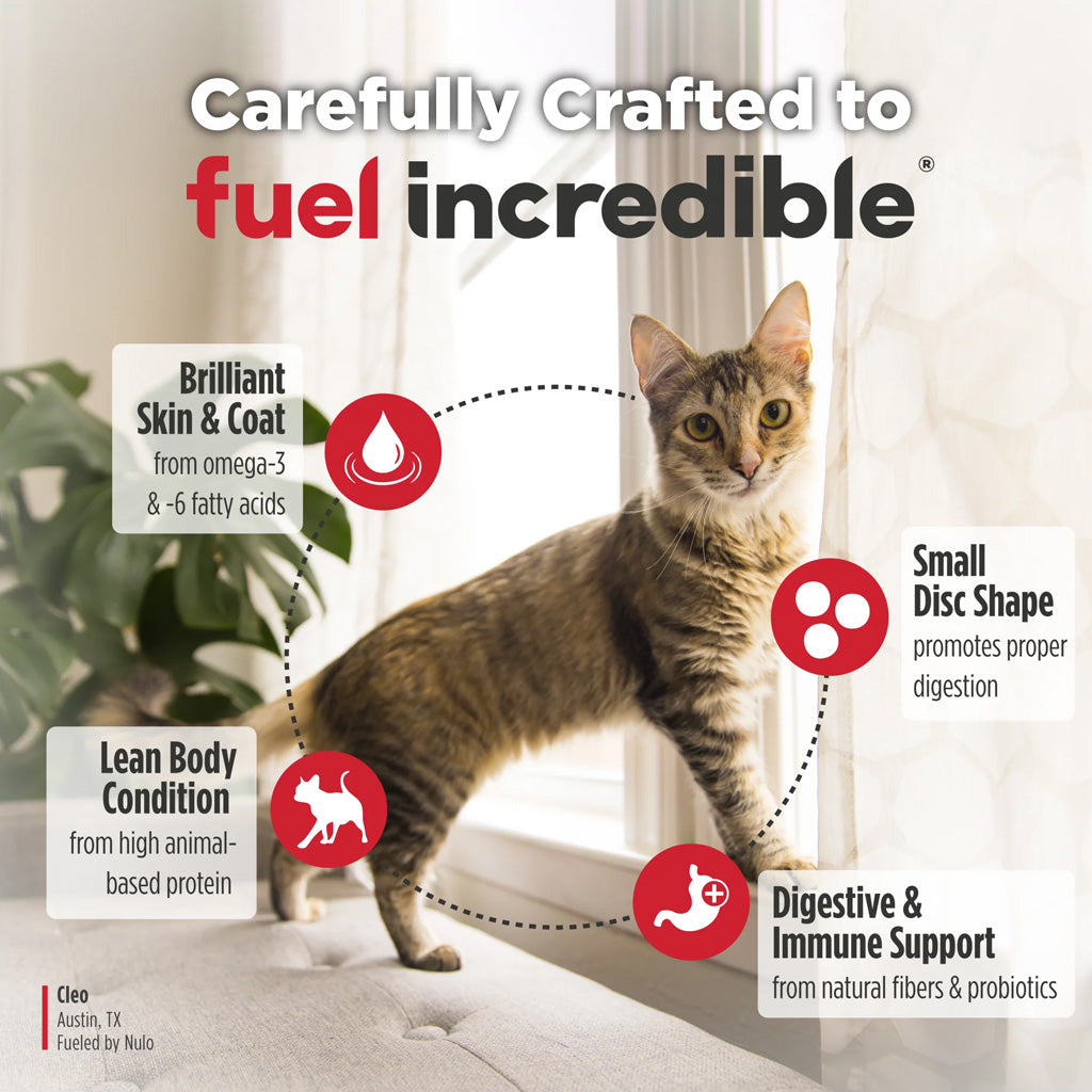 Nulo FreeStyle Grain Free Turkey & Duck Dry Cat & Kitten Food
