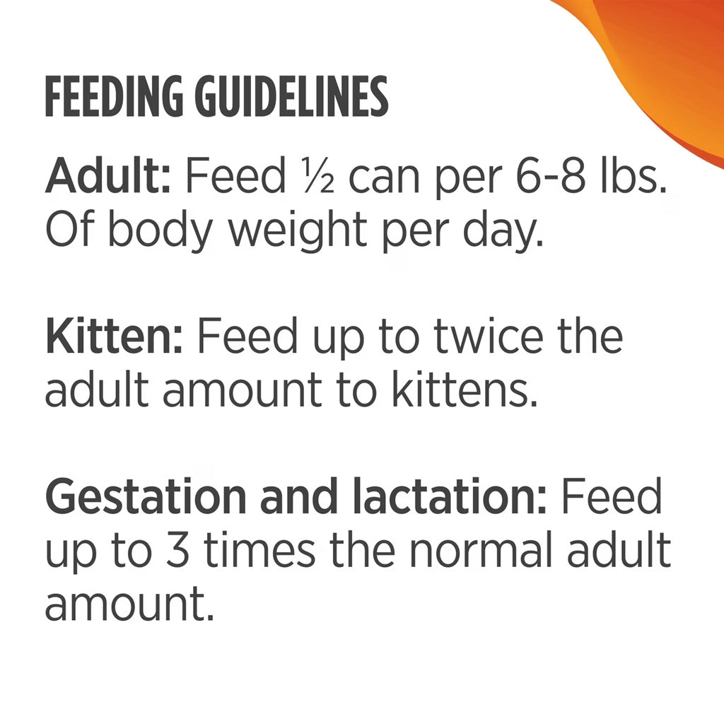 Nulo Grain-Free Turkey & Chicken Recipe Pate Wet Canned Food for Cats & Kittens