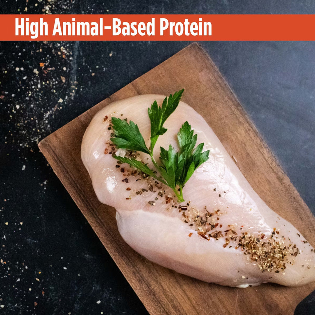 Nulo Grain-Free Turkey & Chicken Recipe Pate Wet Canned Food for Cats & Kittens