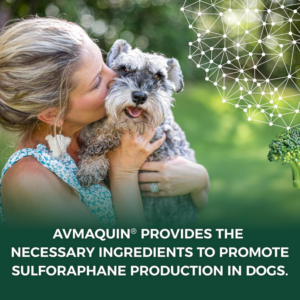 Nutramax Avmaquin Sulforaphane Producing Supplement for Dogs (45 tablets)