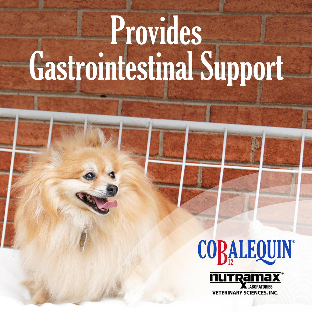 Nutramax Cobalequin B12 Supplement for Cats and Small Dogs, 45 Chewable Tablets