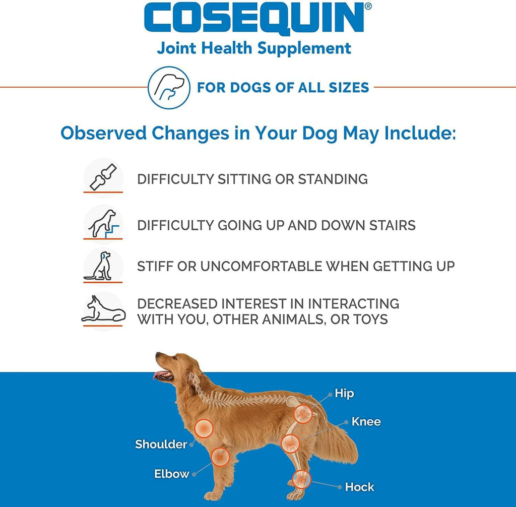 Nutramax Cosequin DS Joint Health Chewable Supplement for Dogs - With Glucosamine and Chondroitin