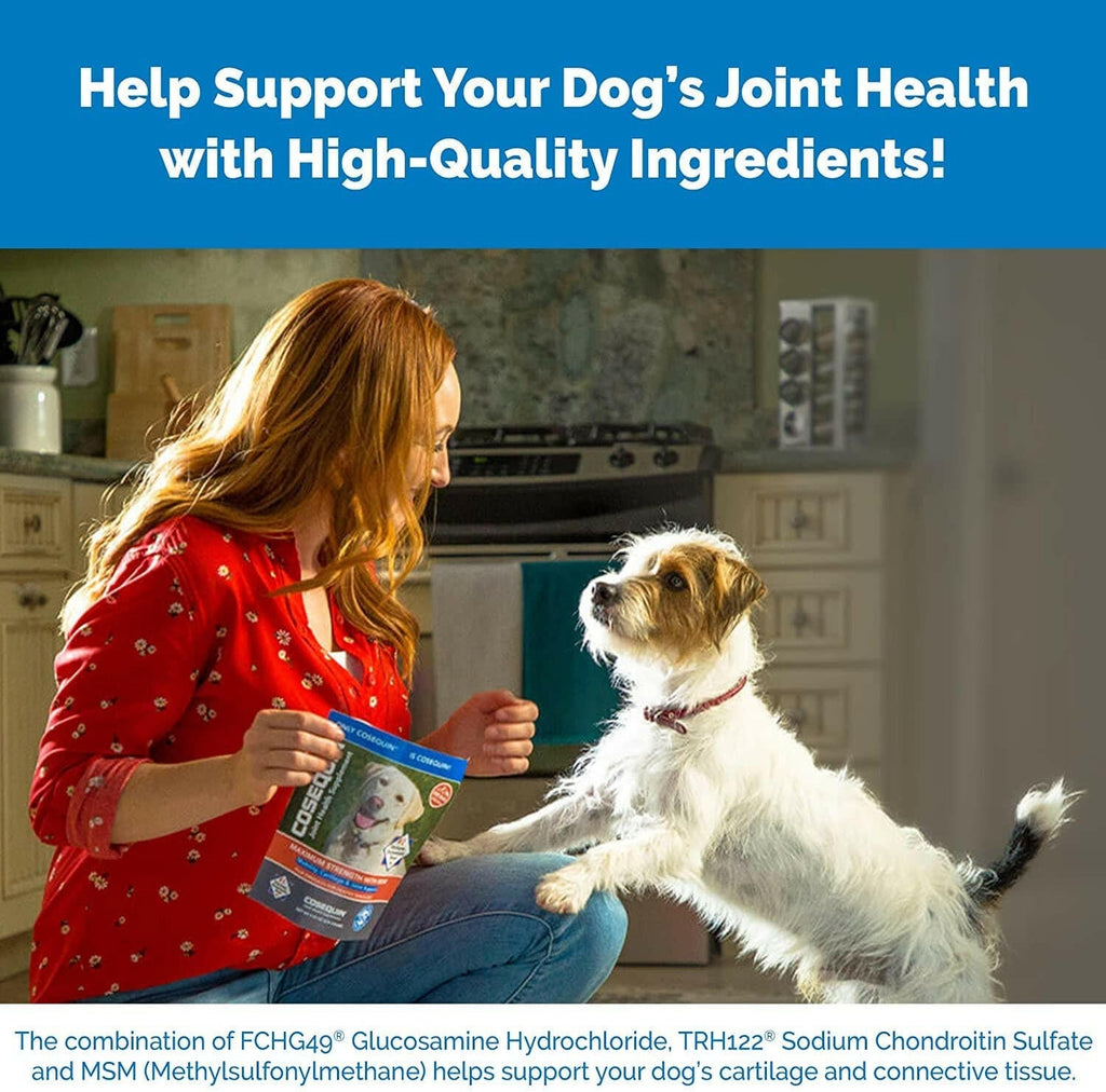 Nutramax Cosequin DS Joint Health Supplement for Dogs - With Glucosamine and Chondroitin, 132 Capsules