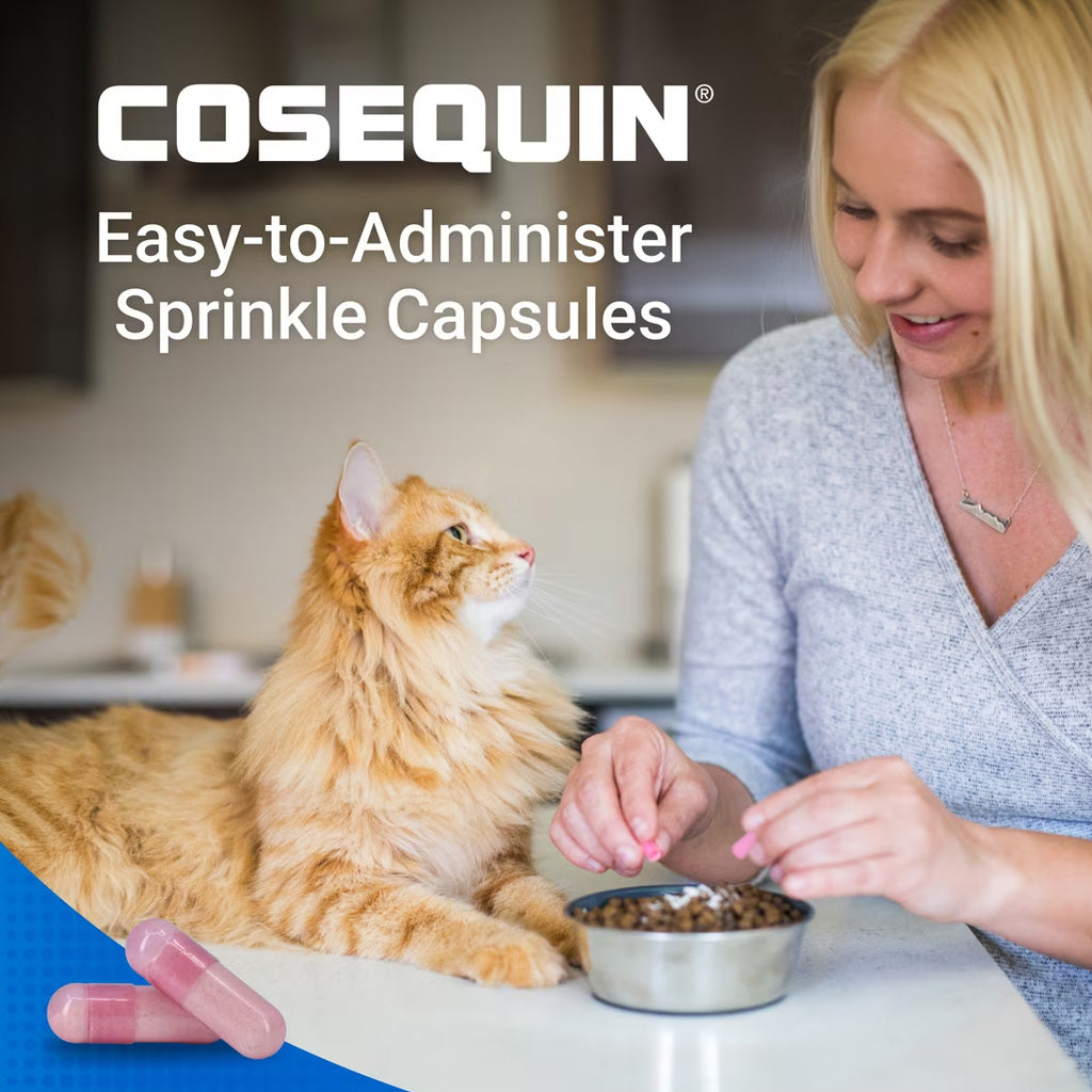 Nutramax Cosequin Joint Health Supplement for Cats - With Glucosamine and Chondroitin, 80 Capsules