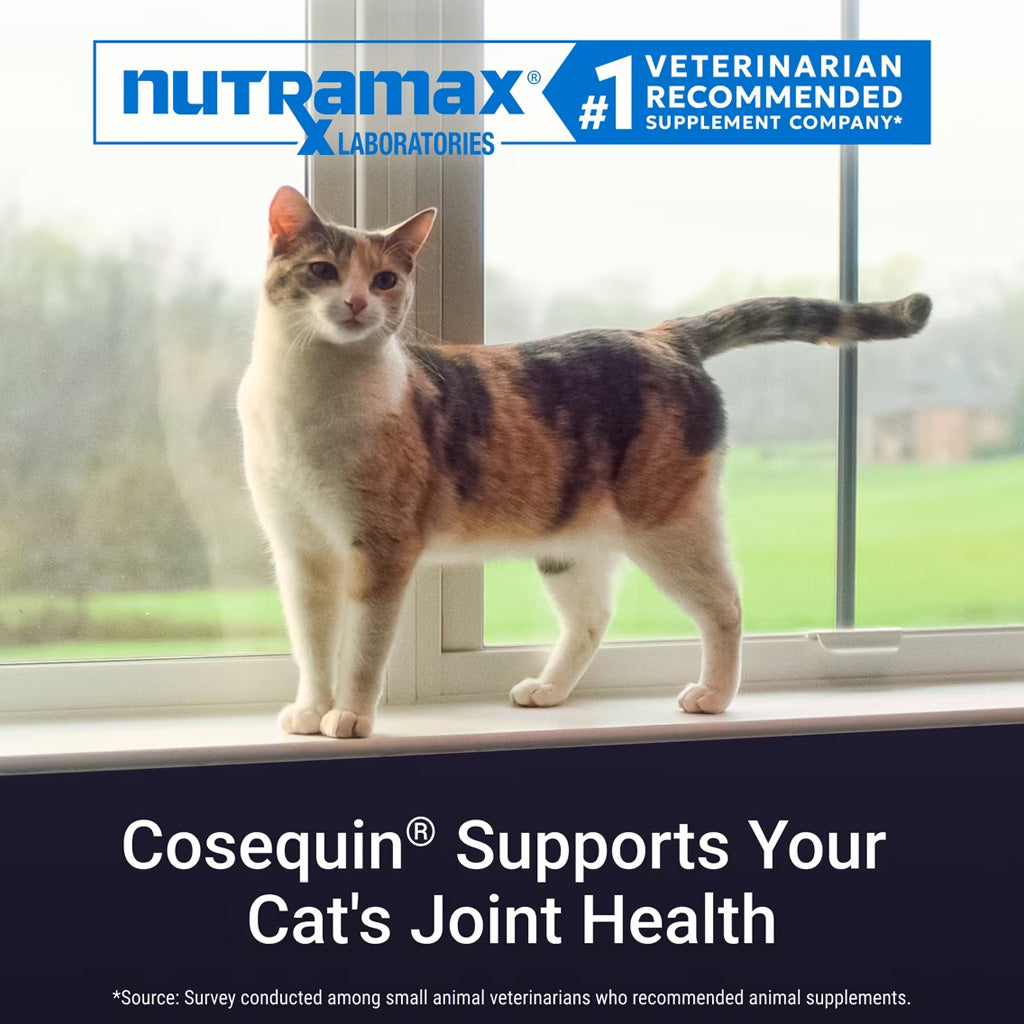 Nutramax Cosequin Joint Health Supplement for Cats - With Glucosamine and Chondroitin, 80 Capsules