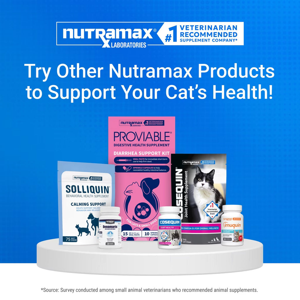 Nutramax Cosequin Joint Health Supplement for Cats - With Glucosamine and Chondroitin, 80 Capsules