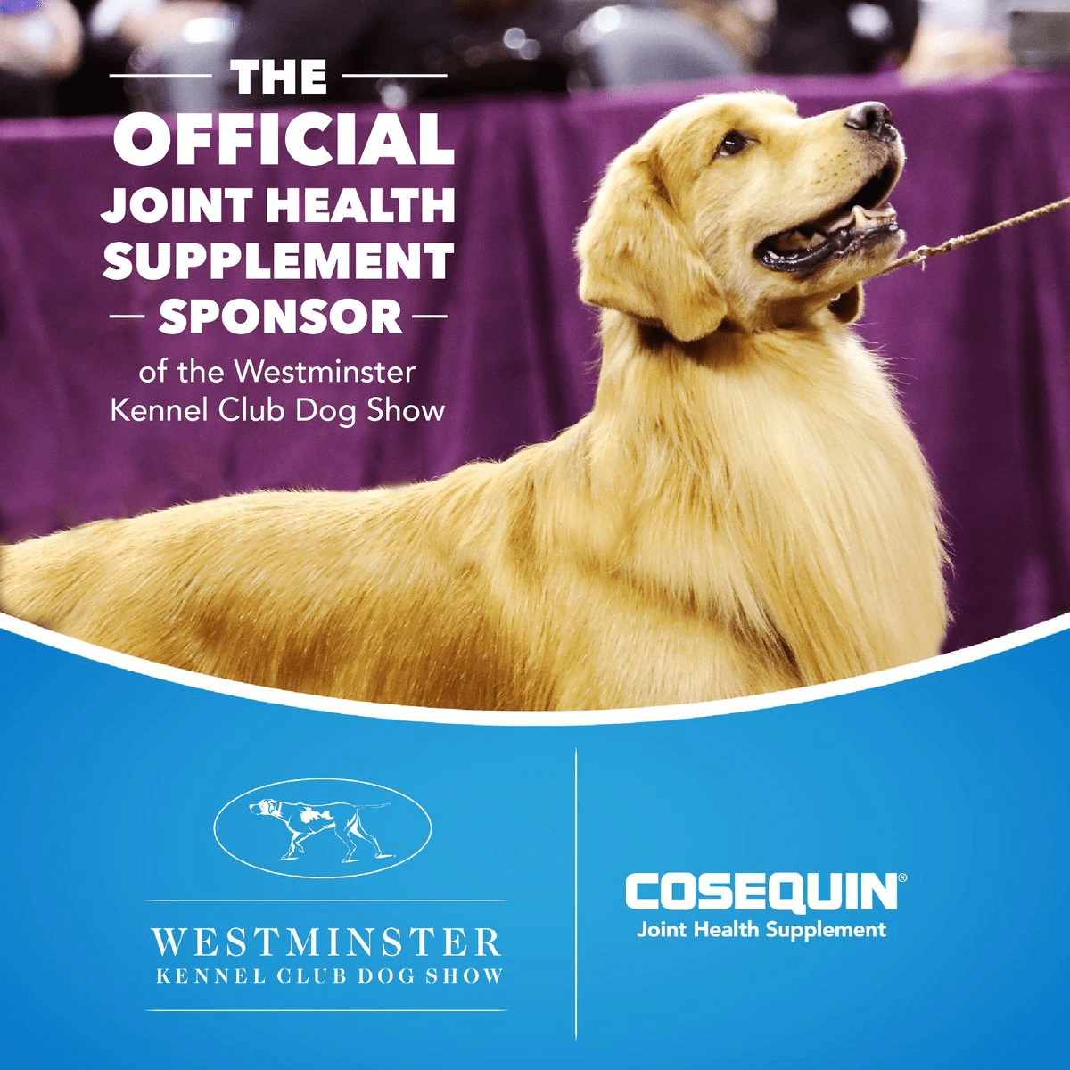 Nutramax Cosequin Maximum Strength Joint Health Supplement for Dogs - With Glucosamine, Chondroitin, MSM, and Hyaluronic Acid