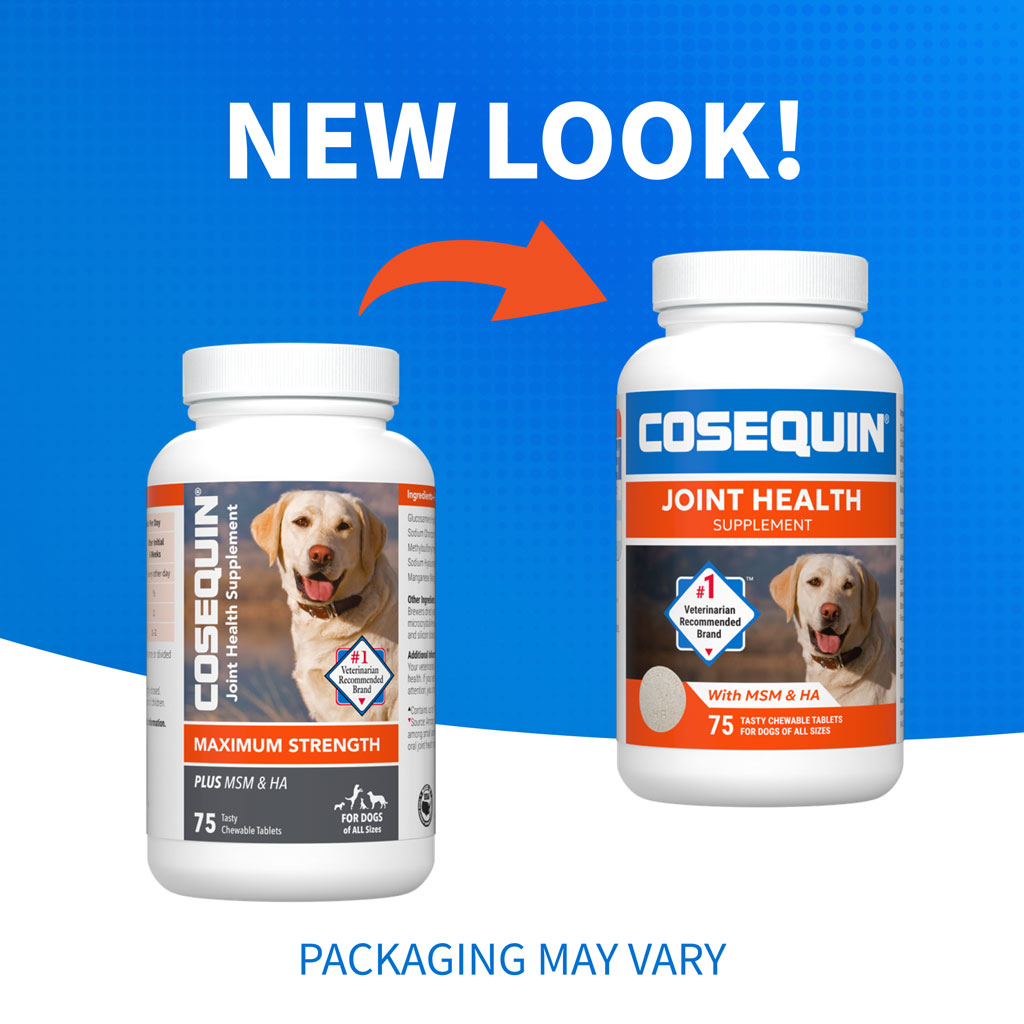 Nutramax Cosequin Maximum Strength Joint Health Supplement for Dogs - With Glucosamine, Chondroitin, MSM, and Hyaluronic Acid