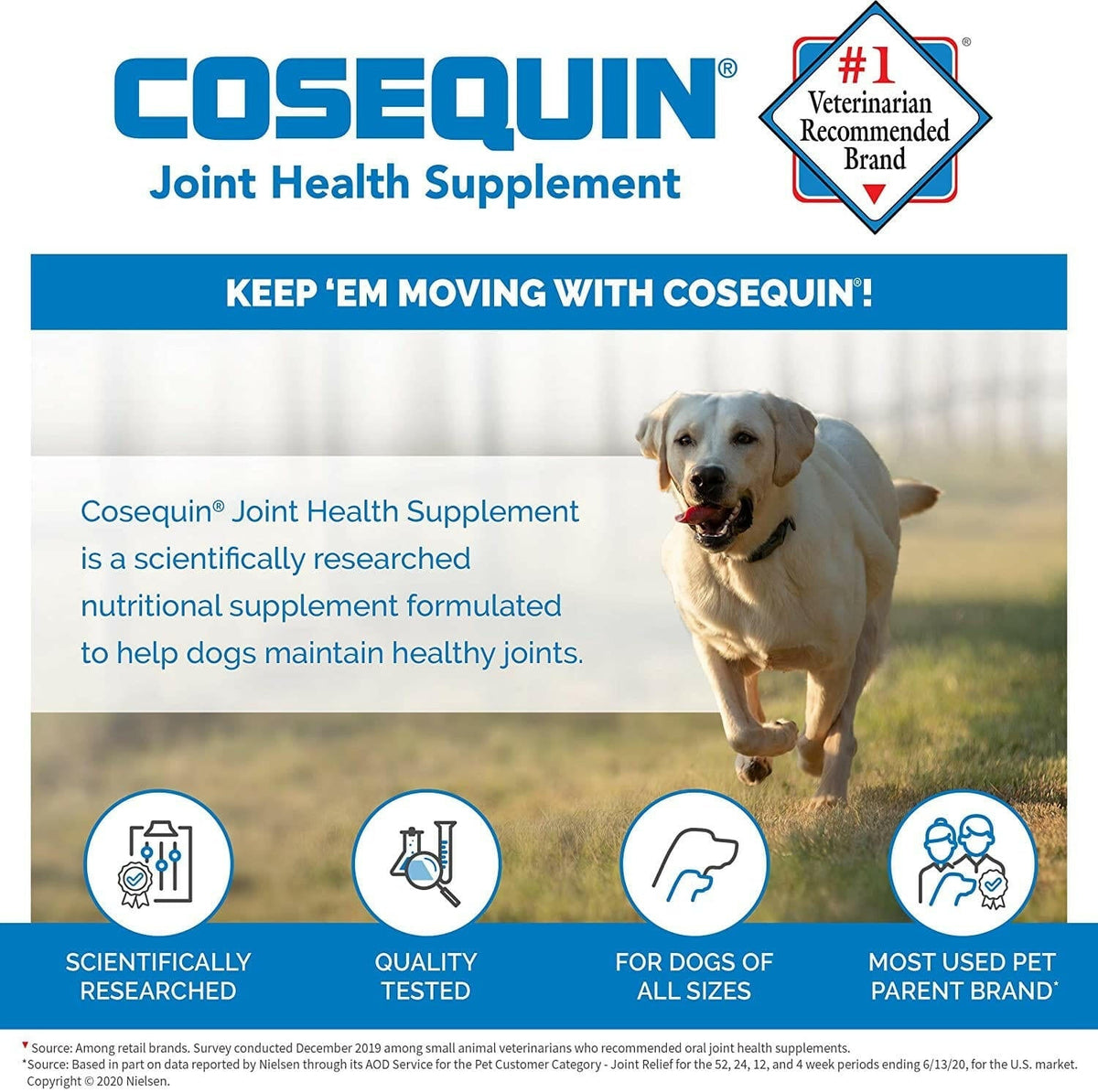 Nutramax Cosequin Regular Strength Joint Health Supplement for Cats and Small Dogs, With Glucosamine and Chondroitin, 132 Capsules