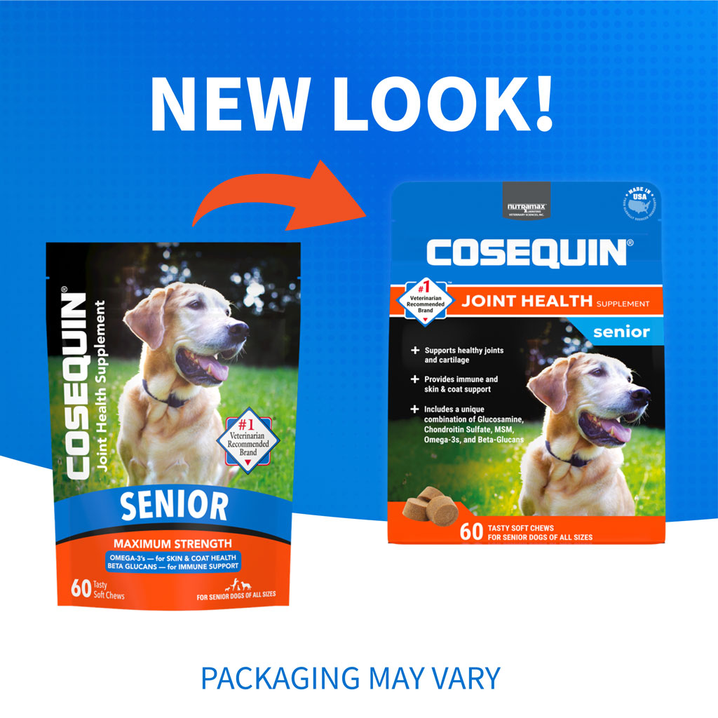 Nutramax Cosequin Senior Joint Health Supplement for Senior Dogs - With Glucosamine, Chondroitin, Omega-3 for Skin and Coat Health and Beta Glucans for Immune Support