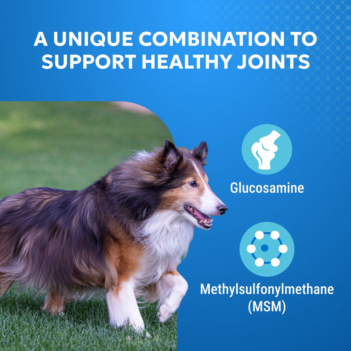 Nutramax Cosequin Standard Strength Joint Health Supplement for Dogs, With Glucosamine and MSM, 75 Chewable Tablets