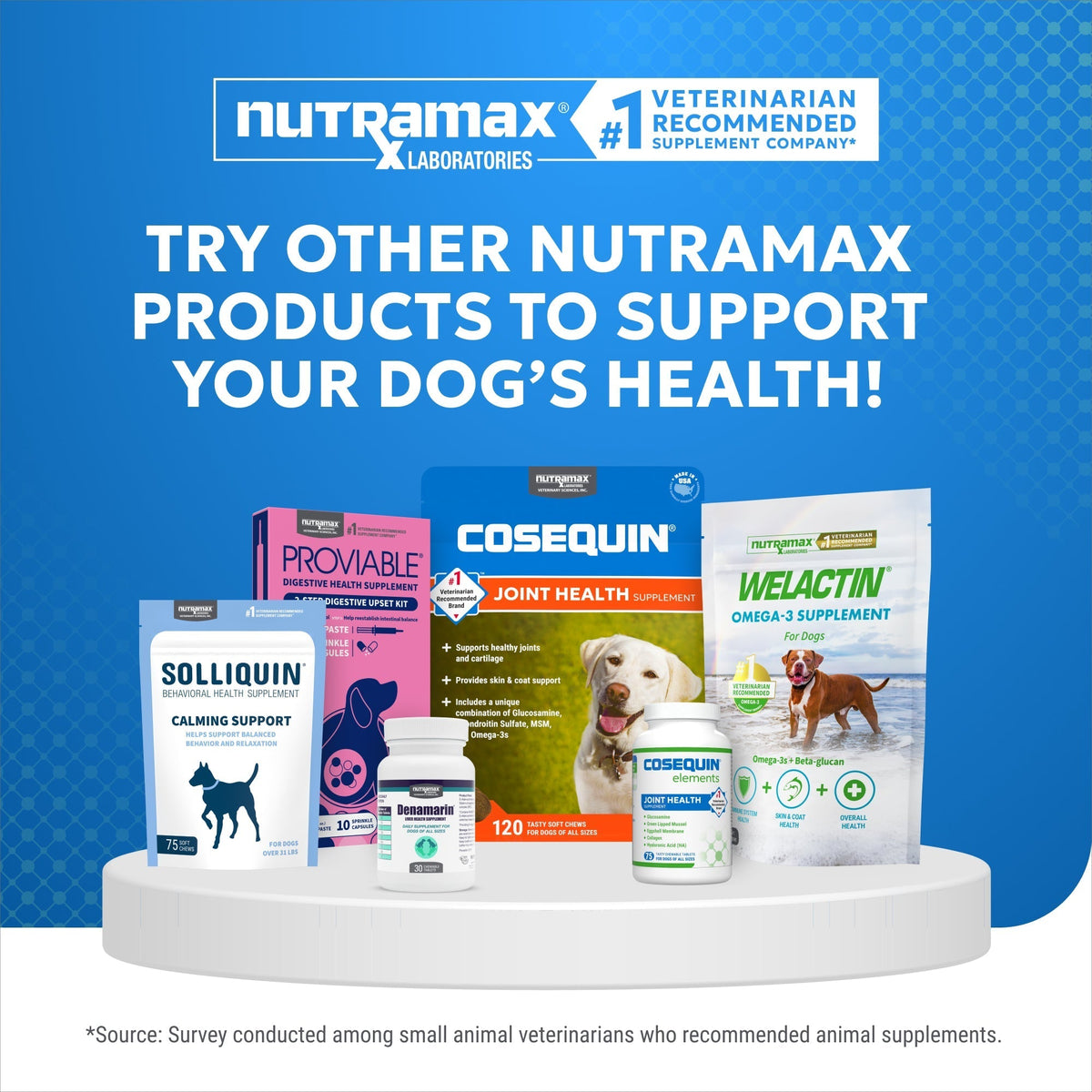 Nutramax Cosequin Standard Strength Joint Health Supplement for Dogs, With Glucosamine and MSM, 75 Chewable Tablets