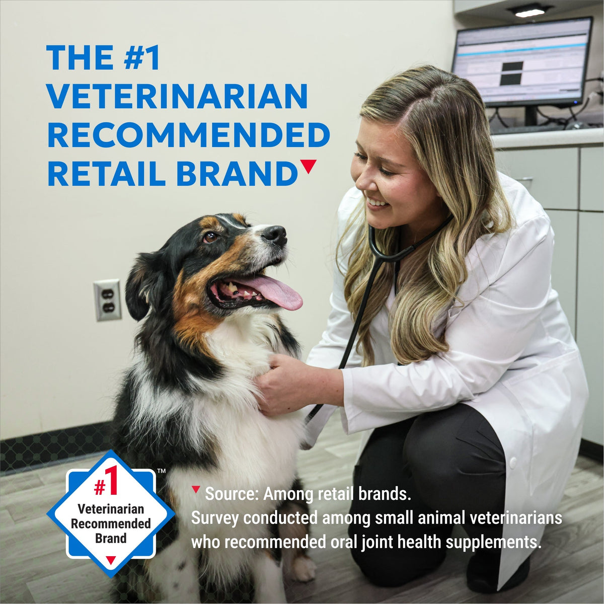 Nutramax Cosequin Standard Strength Joint Health Supplement for Dogs, With Glucosamine and MSM, 75 Chewable Tablets