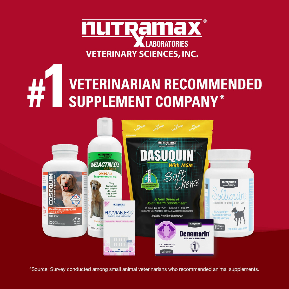 Nutramax Crananidin Cranberry Extract Urinary Tract Health Supplement for Dogs, 75 Chewable Tablets
