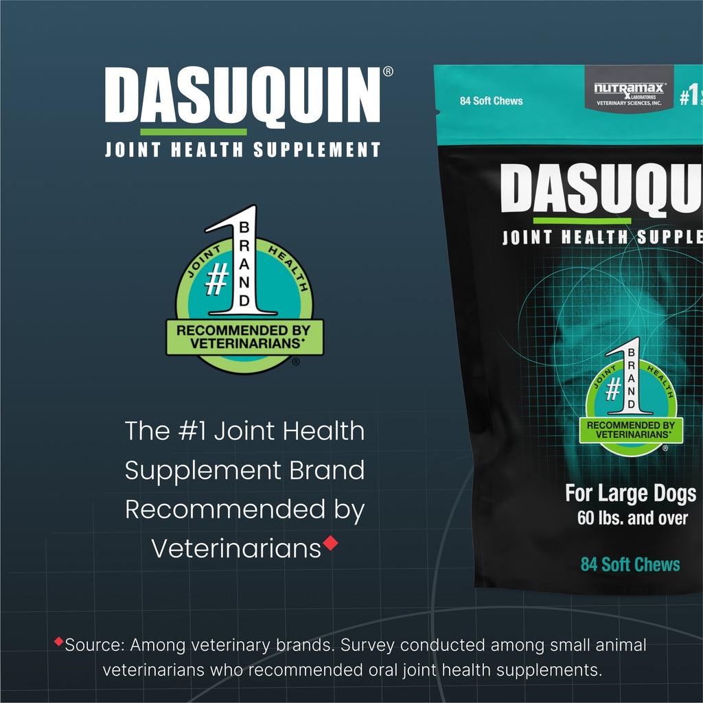 Nutramax Dasuquin Joint Health Supplement for Large Dogs - With Glucosamine, Chondroitin, ASU, Boswellia Serrata Extract, and Green Tea Extract, Soft Chews