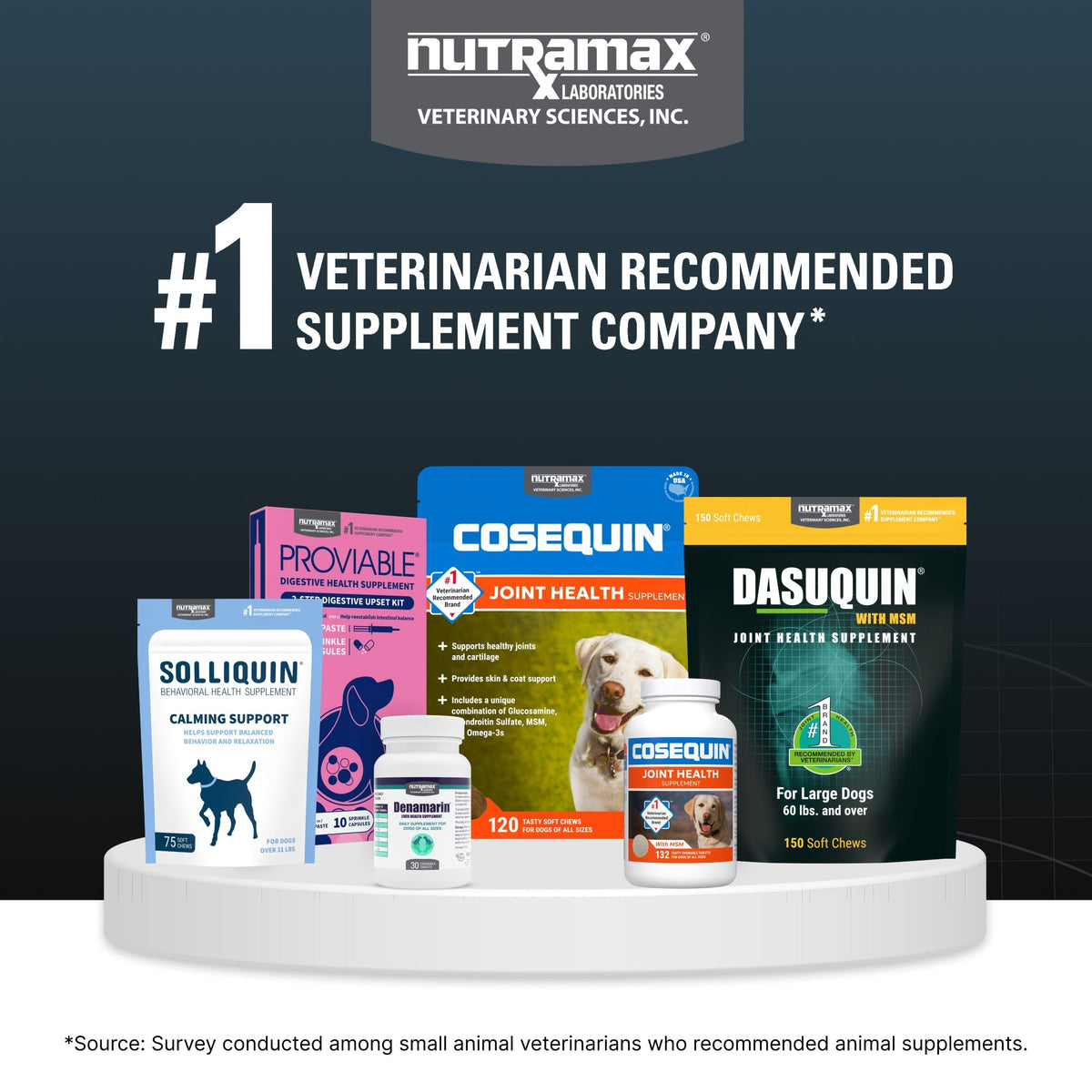 Nutramax Dasuquin Joint Health Supplement for Large Dogs - With Glucosamine, Chondroitin, ASU, MSM, Boswellia Serrata Extract, Green Tea Extract, Soft Chews