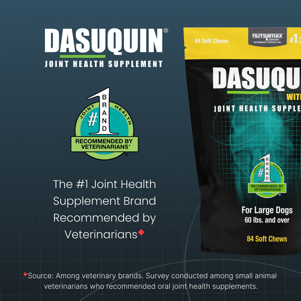 Nutramax Dasuquin Joint Health Supplement for Large Dogs - With Glucosamine, Chondroitin, ASU, MSM, Boswellia Serrata Extract, Green Tea Extract, Soft Chews