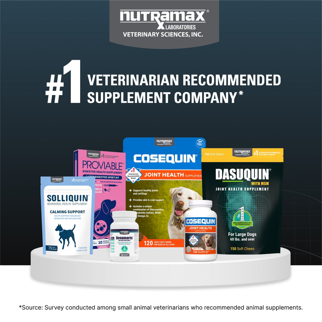 Nutramax Dasuquin Joint Health Supplement for Small to Medium Dogs - With Glucosamine, Chondroitin, ASU, Boswellia Serrata Extract and Green Tea Extract, Chewable Tablets