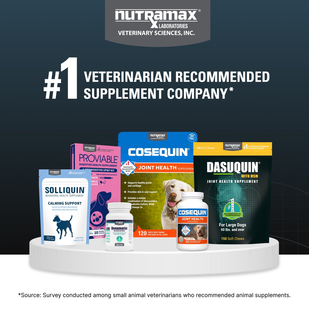 Nutramax Dasuquin Joint Health Supplement for Small to Medium Dogs - With Glucosamine, Chondroitin, ASU, MSM, Boswellia Serrata Extract, Green Tea Extract, Chewable Tablets