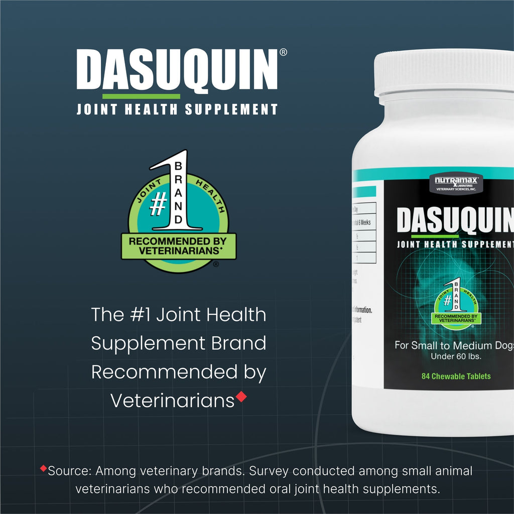 Nutramax Dasuquin Joint Health Supplement for Small to Medium Dogs - With Glucosamine, Chondroitin, ASU, Boswellia Serrata Extract and Green Tea Extract, Chewable Tablets