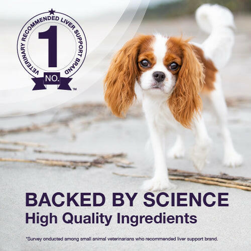Nutramax Denamarin Liver Health Supplement for Dogs of All Sizes, With S-Adenosylmethionine (SAMe) and Silybin
