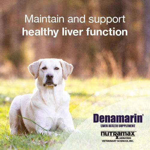 Nutramax Denamarin Liver Health Supplement for Dogs of All Sizes, With S-Adenosylmethionine (SAMe) and Silybin