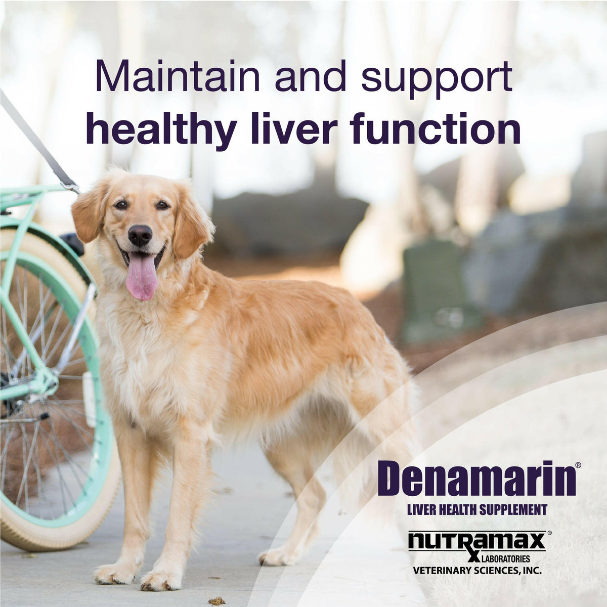 Nutramax Denamarin Liver Health Supplement for Large Dogs - With S-Adenosylmethionine (SAMe) and Silybin, Tablets