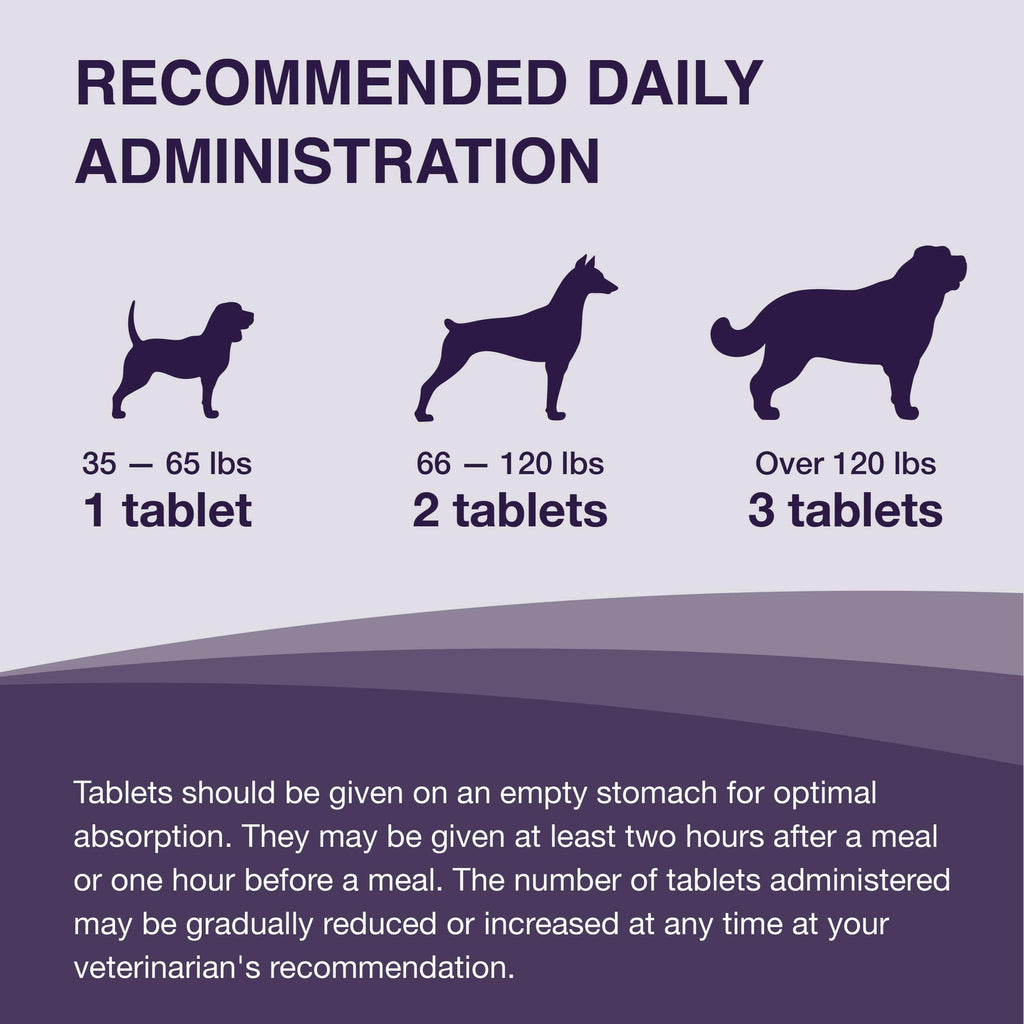 Nutramax Denamarin Liver Health Supplement for Large Dogs - With S-Adenosylmethionine (SAMe) and Silybin, Tablets