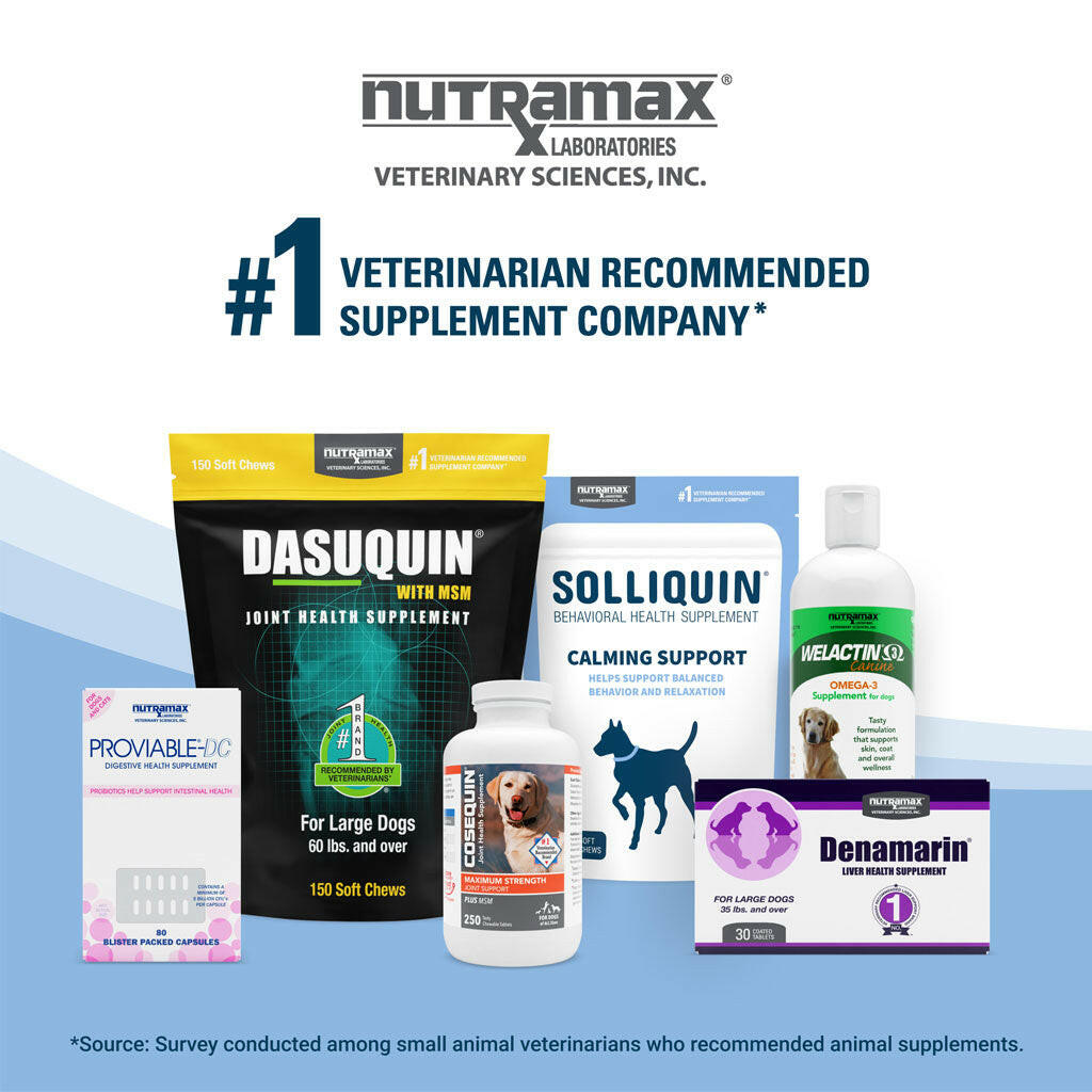 Nutramax Solliquin Calming Behavioral Health Supplement for Small to Medium Dogs and Cats - With L-Theanine, Magnolia / Phellodendron, and Whey Protein Concentrate, 75 Soft Chews
