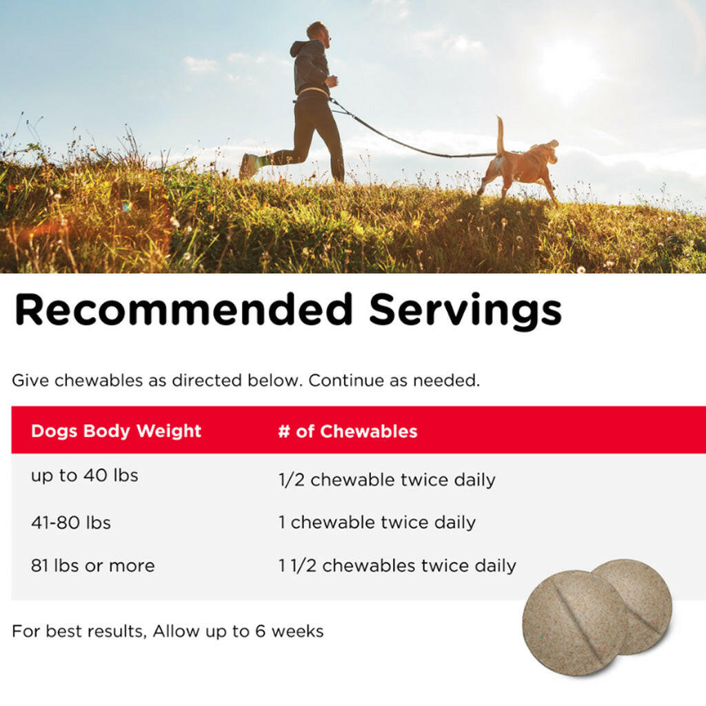Nutri-Vet Hip & Joint Chewable Dog Supplements
