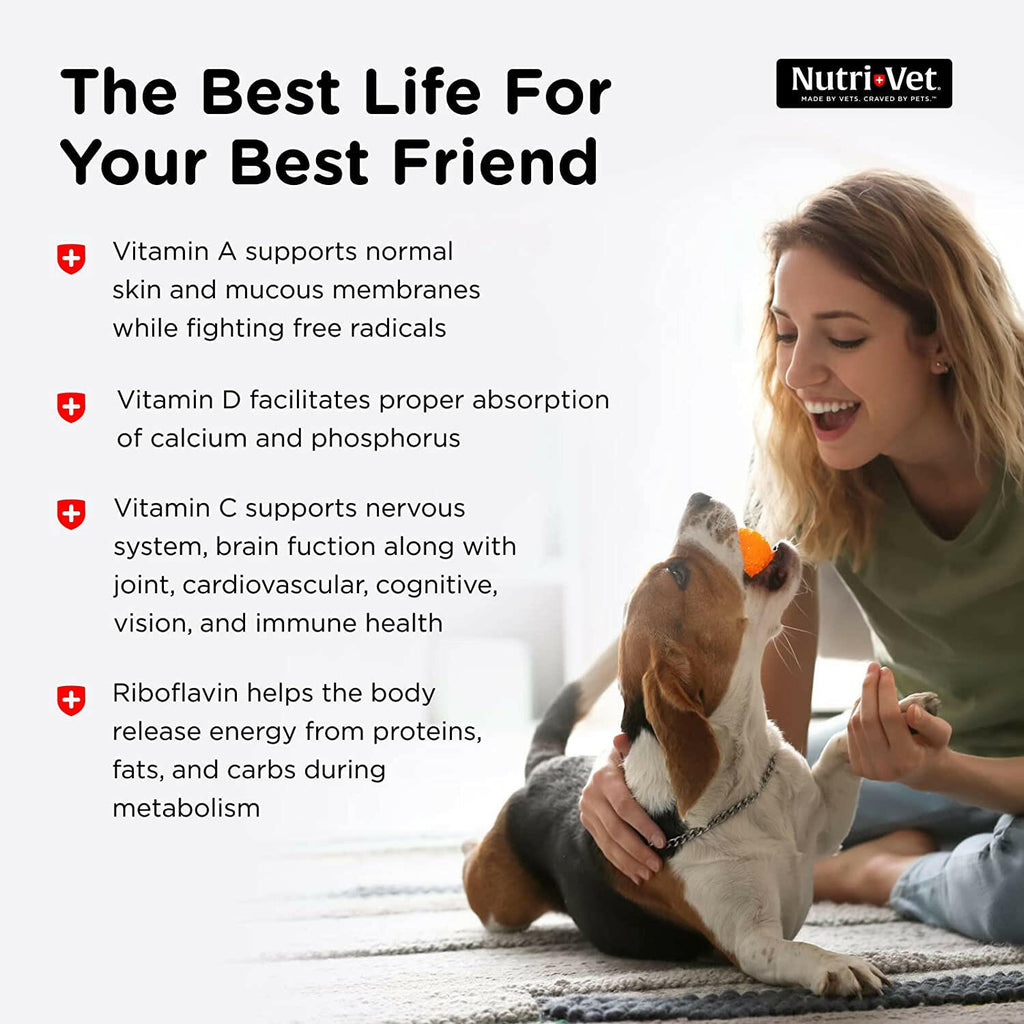 Nutri-Vet Multi-Vite Chewable Tablets for Dogs