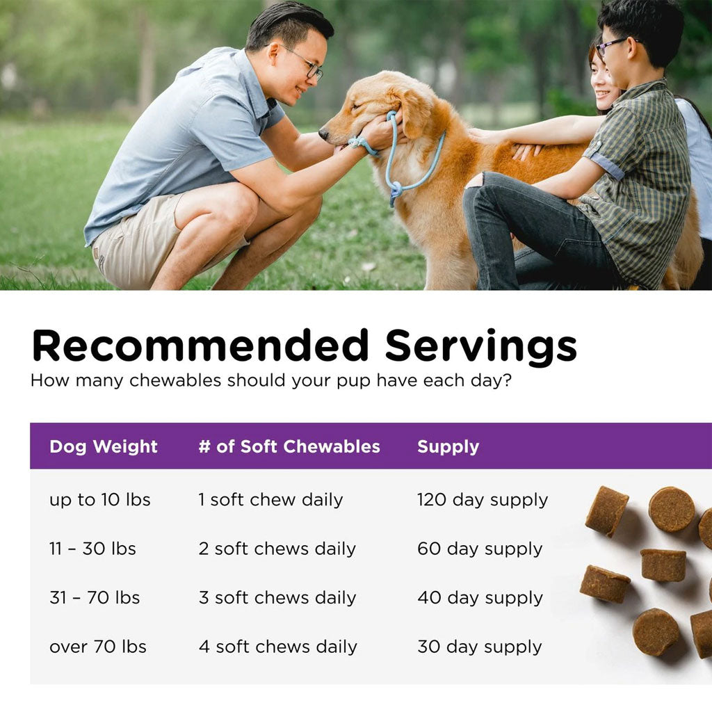 Nutri-Vet Pre & Probiotic Digestive Supplement for Dogs, 120 soft chews