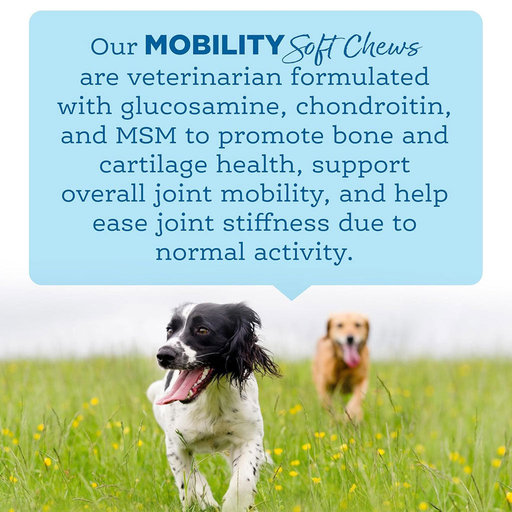 NutriSource AmpliFull Mobility Soft Chews Dogs Supplement, Turkey Flavor, 70-count