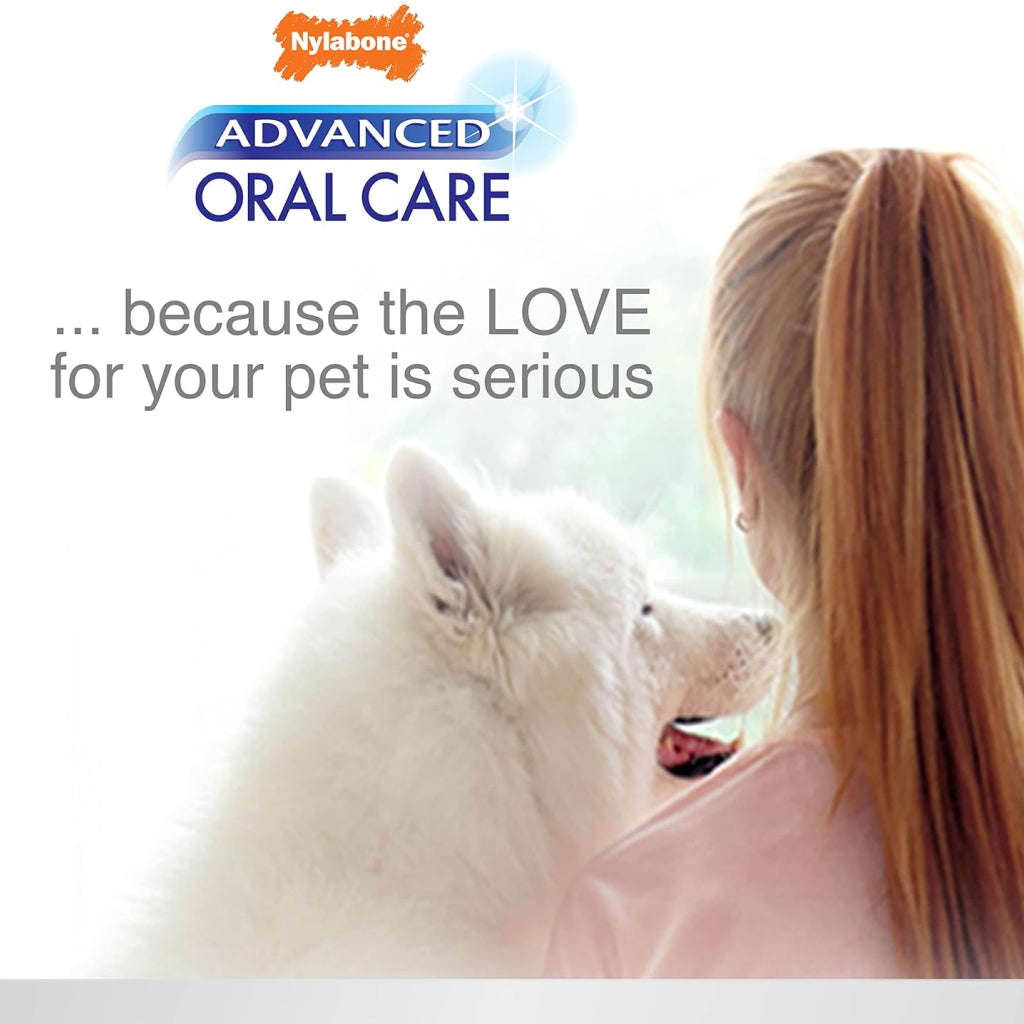 Nylabone Advanced Oral Care Senior Dog Dental Kit