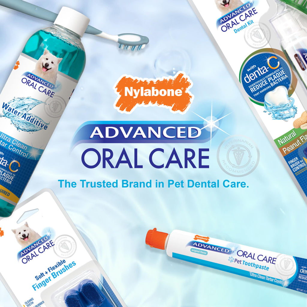 Nylabone Advanced Oral Care Senior Dog Dental Kit