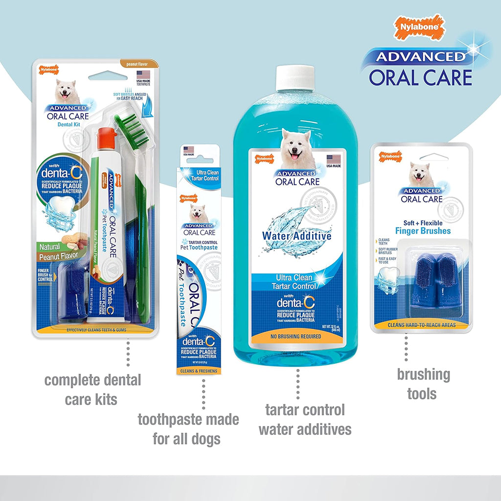 Nylabone Advanced Oral Care Senior Dog Dental Kit